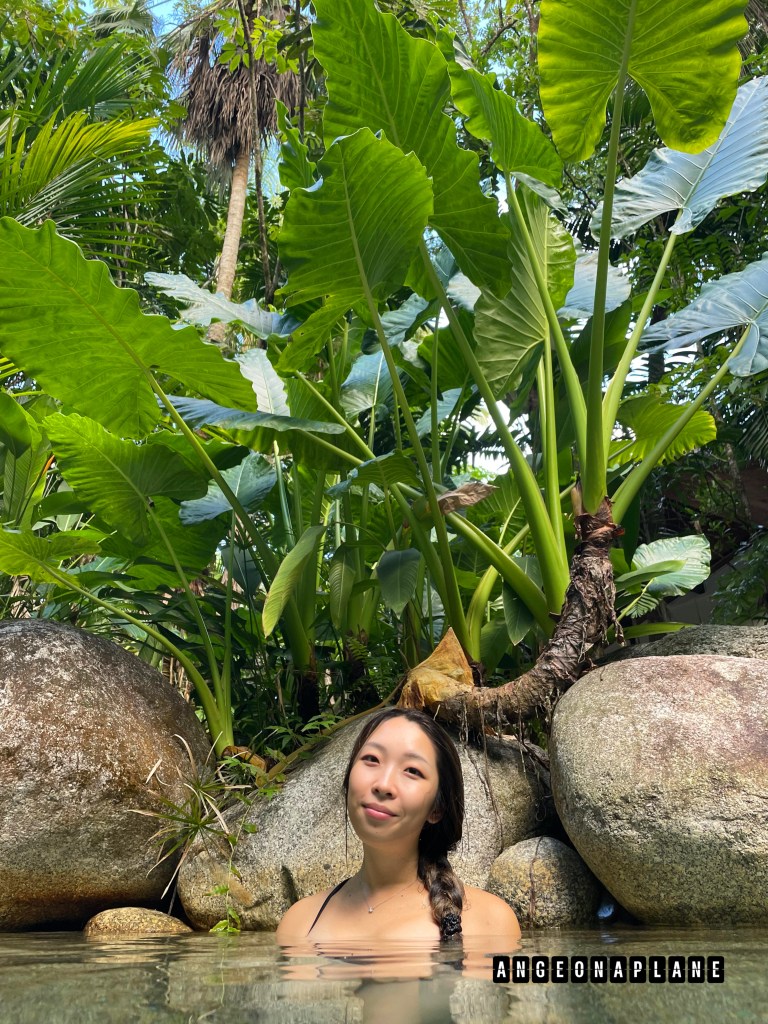Me in the pool at Silky Oaks lodge