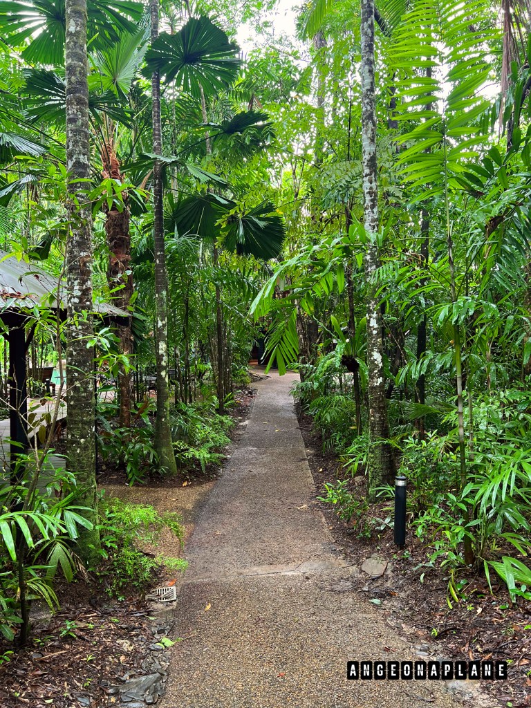 The grounds at Silky Oaks lodge